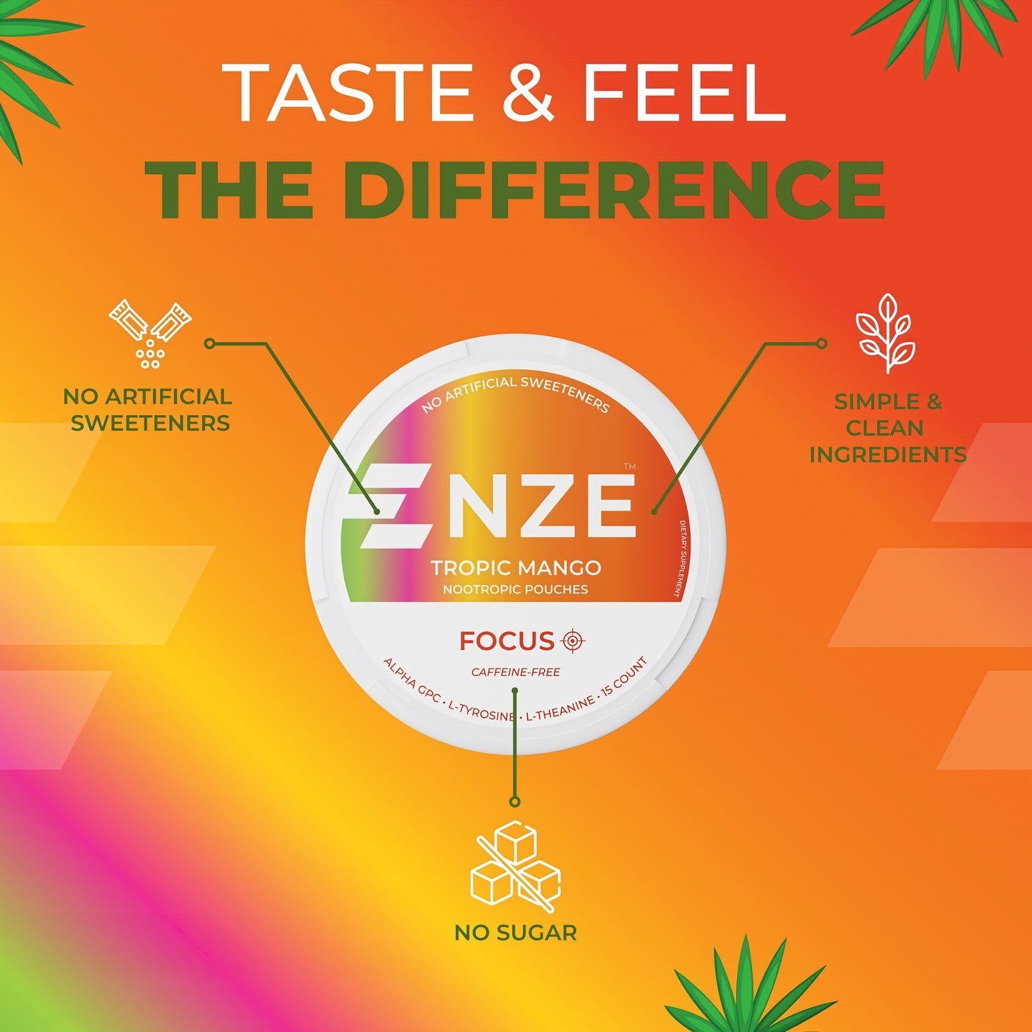 NZE Caffeine Nootropic Pouches 5 Pack